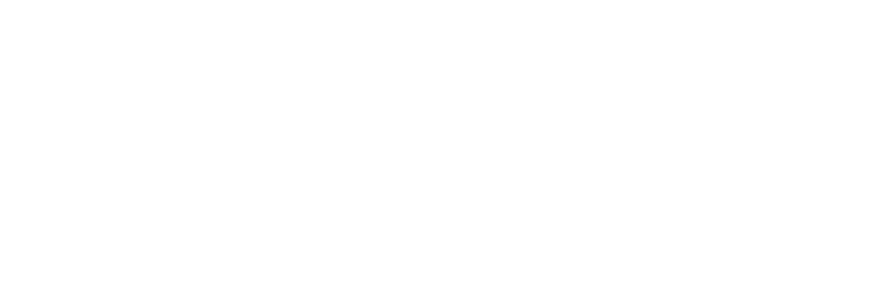 Logotipo de la empresa SANECO