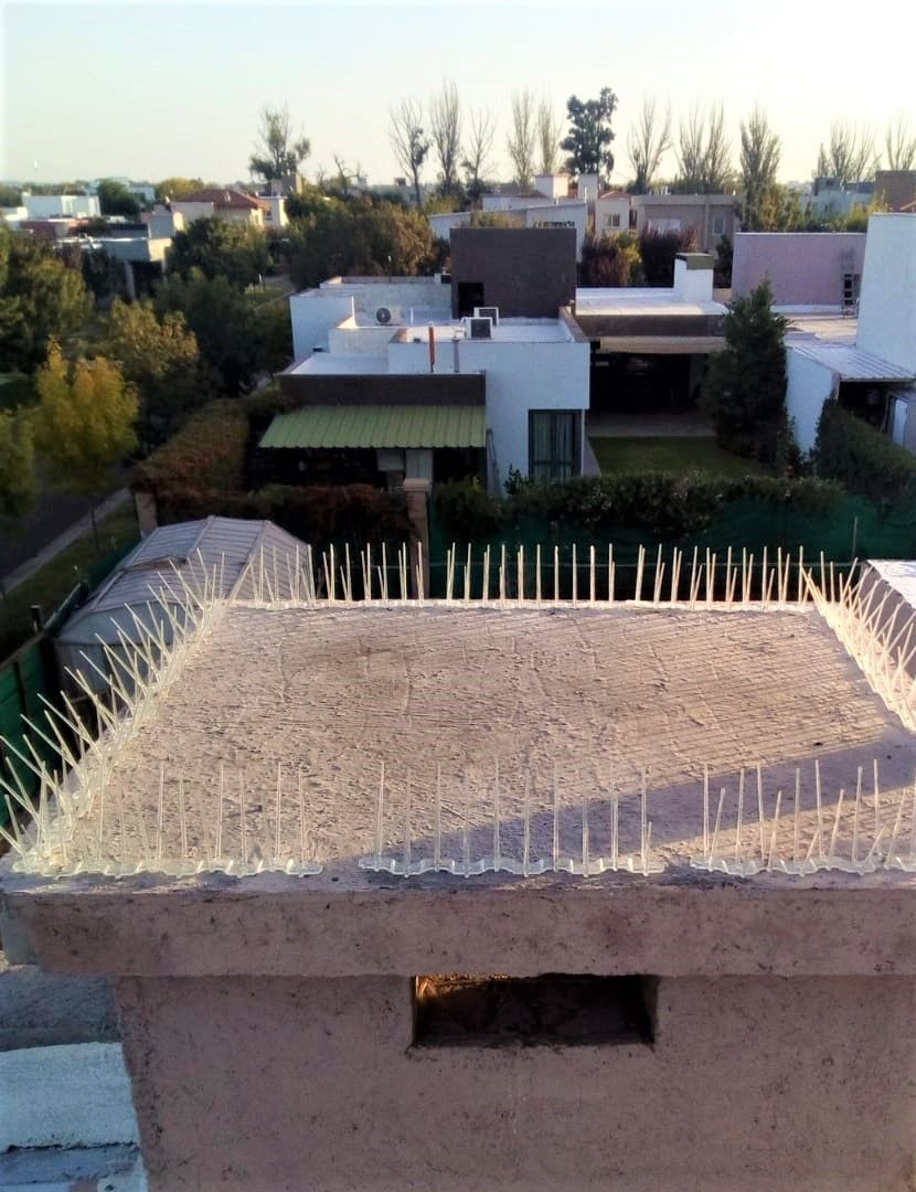 Azotea plana con púas antipájaros. Casas y árboles al fondo bajo un cielo claro.