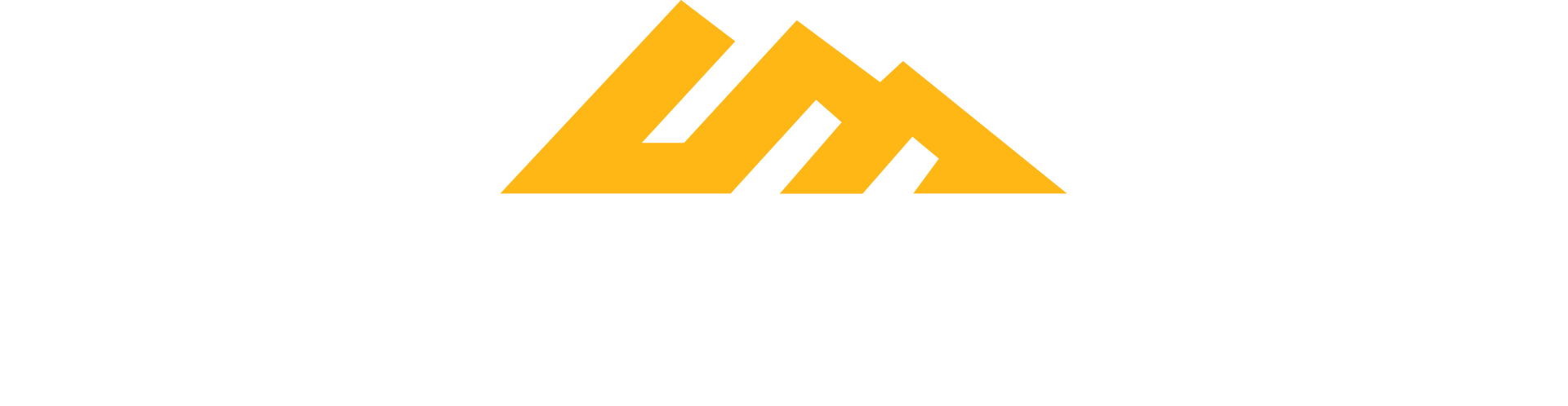 白色背景上帶有字母 W 的黃色三角形。