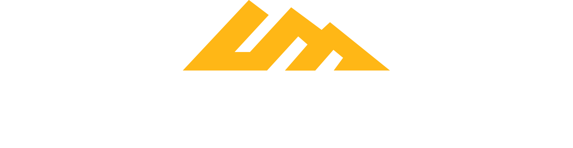 白色背景上帶有字母 W 的黃色三角形。