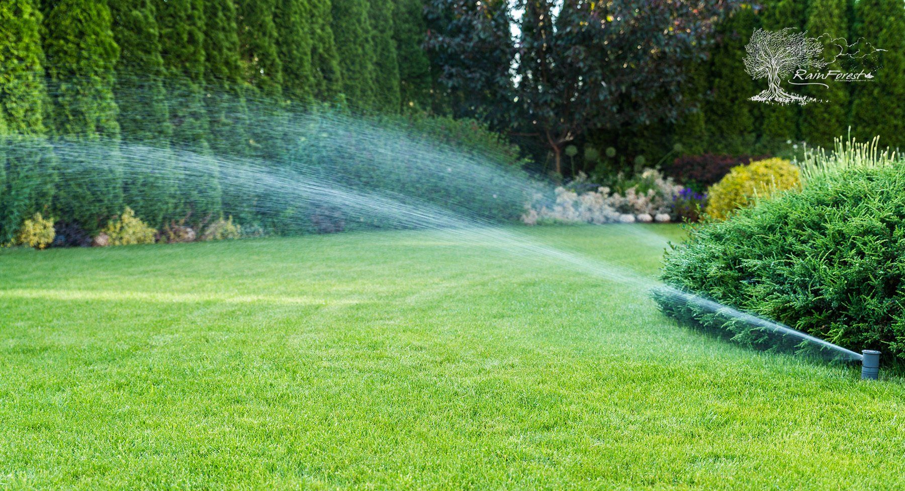 Irrigation