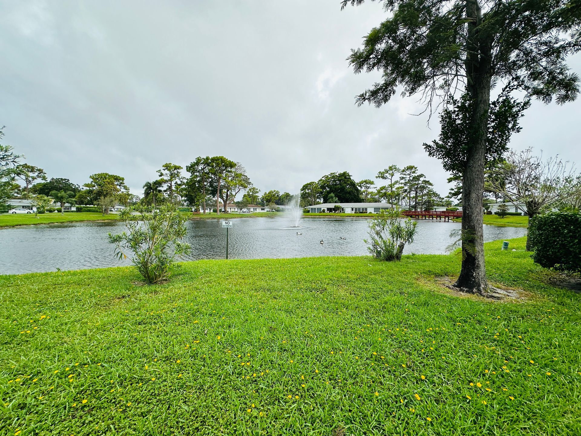 Lush green grass leads to a lake with a fountain under an overcast sky, trees and houses in the background.