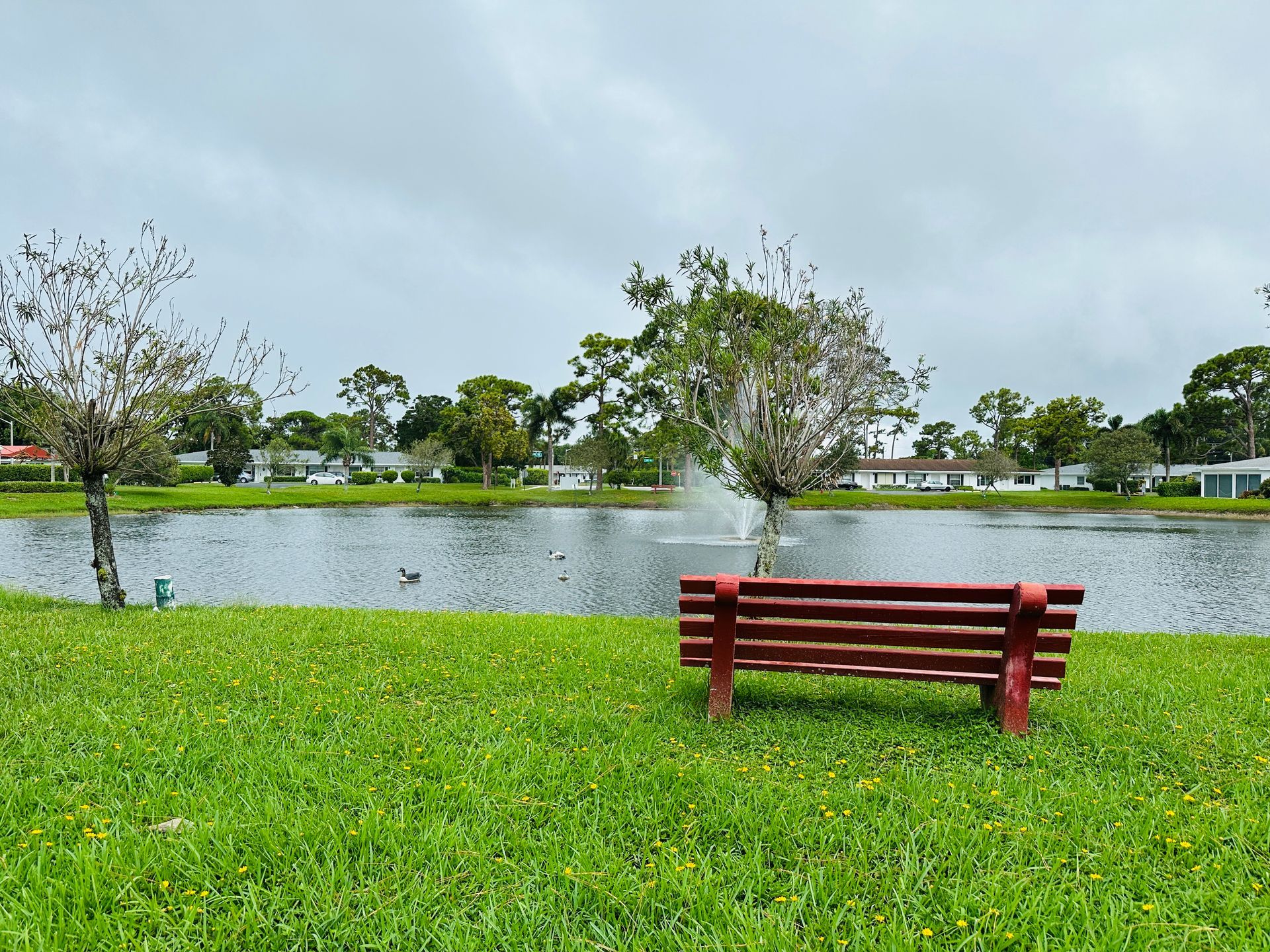 Red bench on green grass overlooking a pond with fountain under a cloudy sky.
