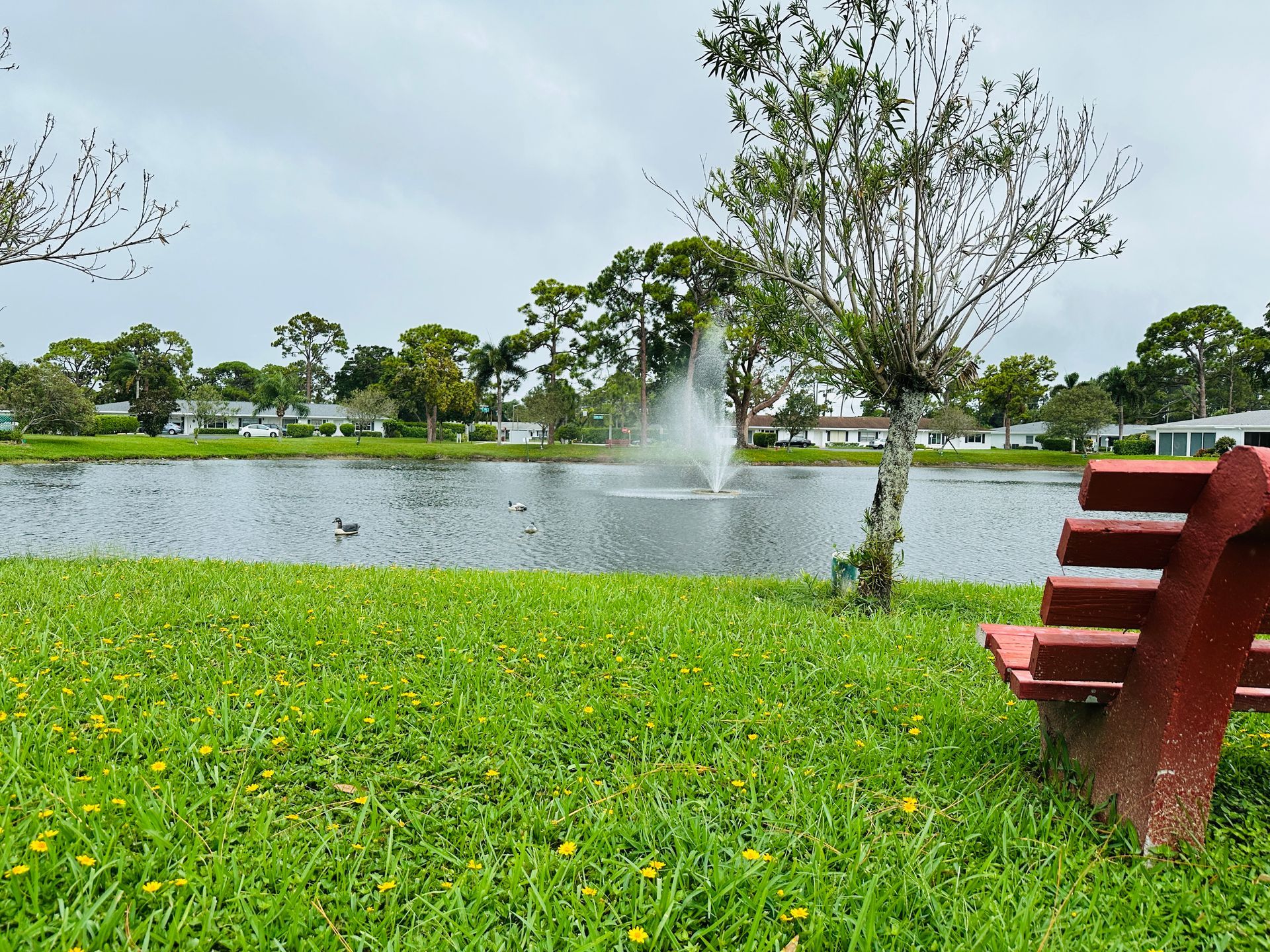 Park scene with a lake, fountain, and red bench on a grassy lawn under a cloudy sky.