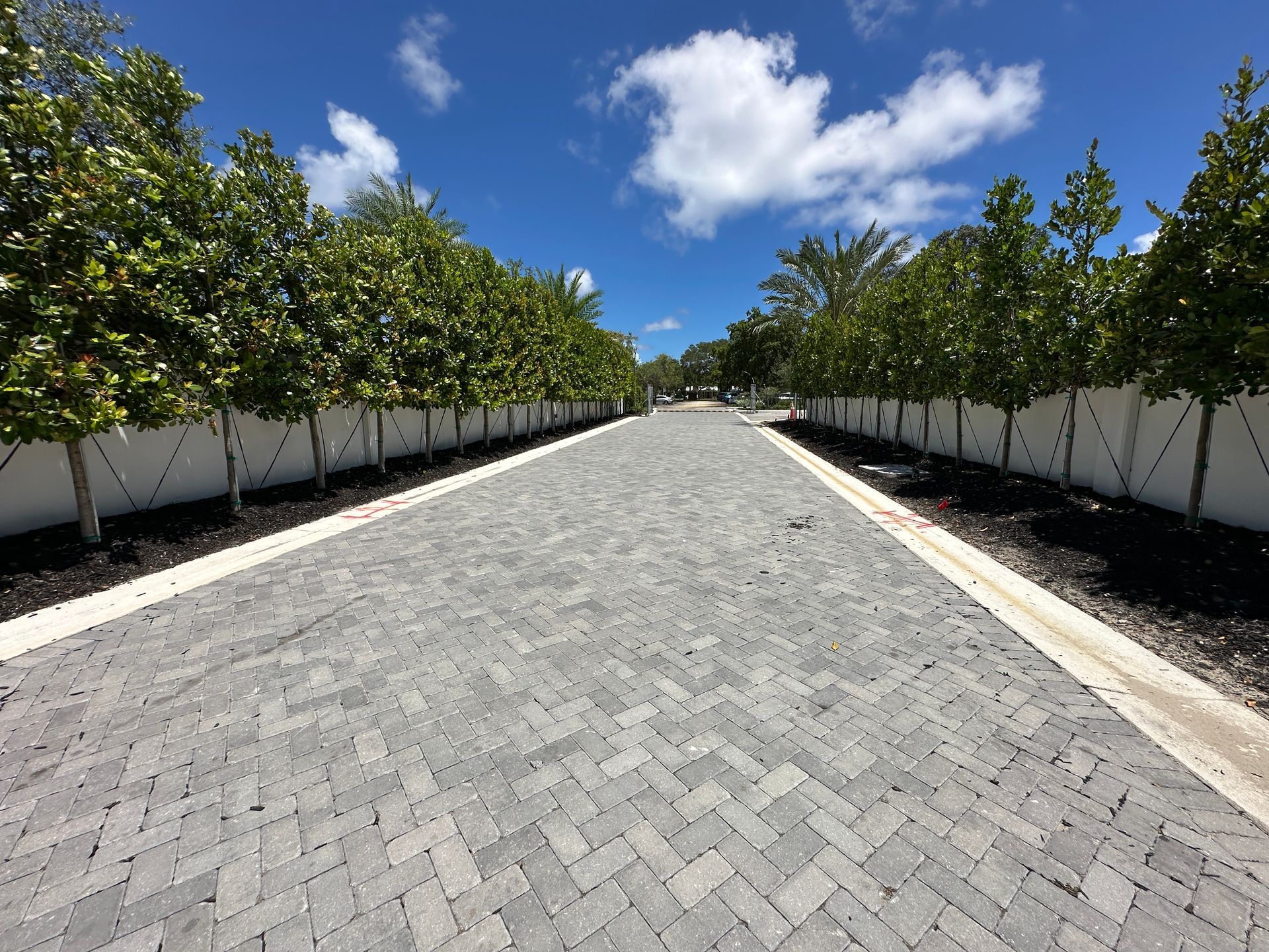 Brick road lined with trees under a bright blue sky with scattered clouds.
