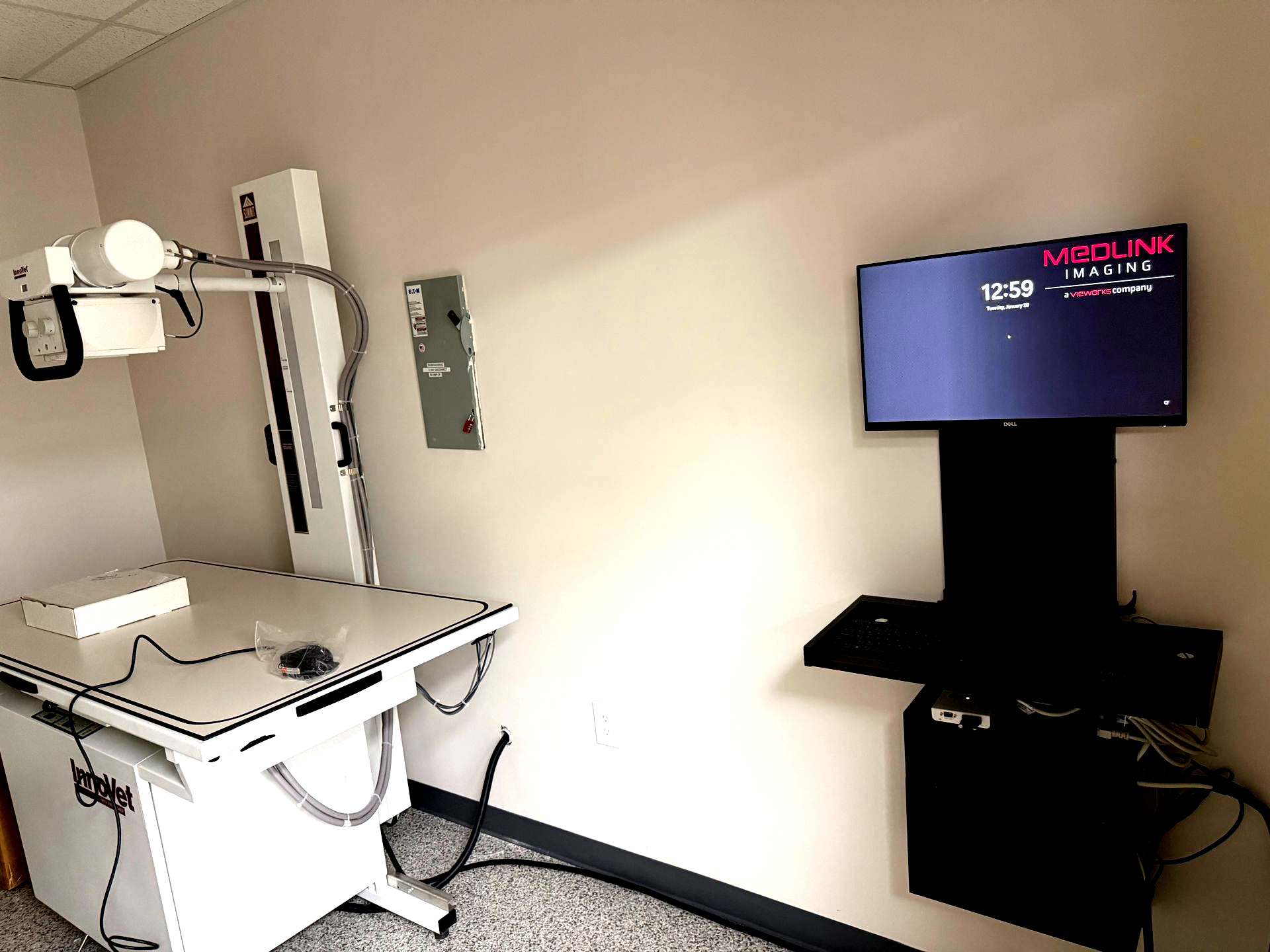 We offer same-day urgent and emergency care, comprehensive dog and cat medicine, advanced diagnostics and imaging, minimally invasive procedures including endoscopy, laparoscopy, and non-surgical foreign body removal, dental cleanings, cold laser therapy, stem cell therapy, and compassionate, high-quality veterinary care under one roof.