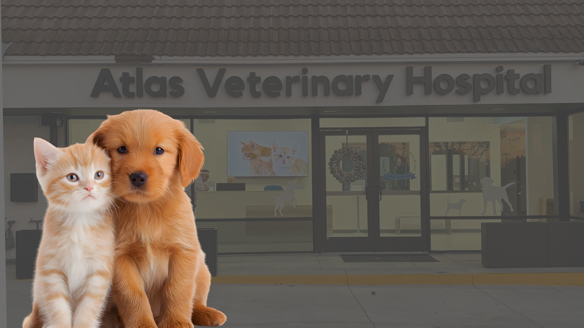 Examination room with a window, cabinets, desk, and chair. Bright overhead lighting.