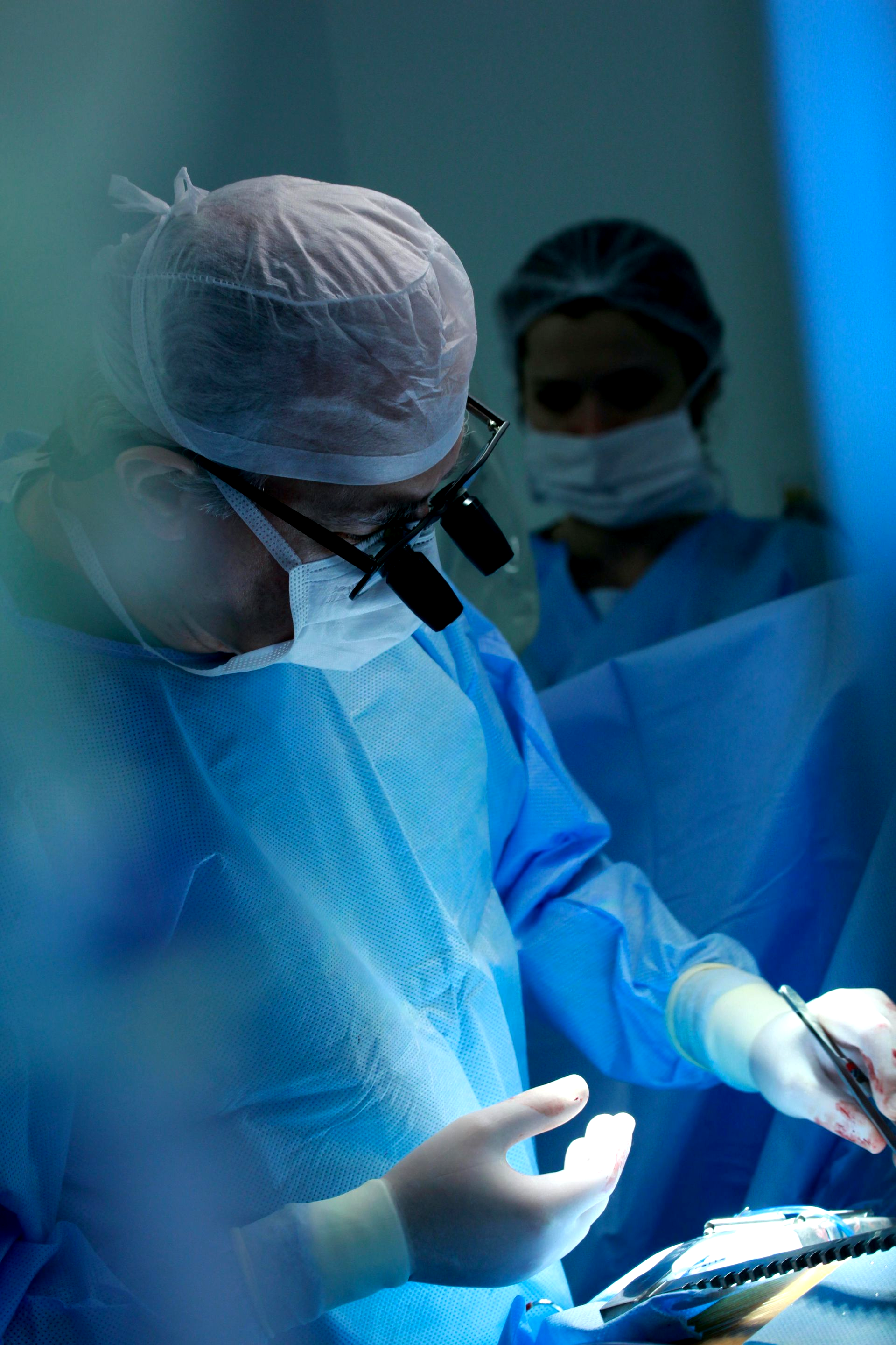 We offer same-day urgent and emergency care, comprehensive dog and cat medicine, advanced diagnostics and imaging, minimally invasive procedures including endoscopy, laparoscopy, and non-surgical foreign body removal, dental cleanings, cold laser therapy, stem cell therapy, and compassionate, high-quality veterinary care under one roof.