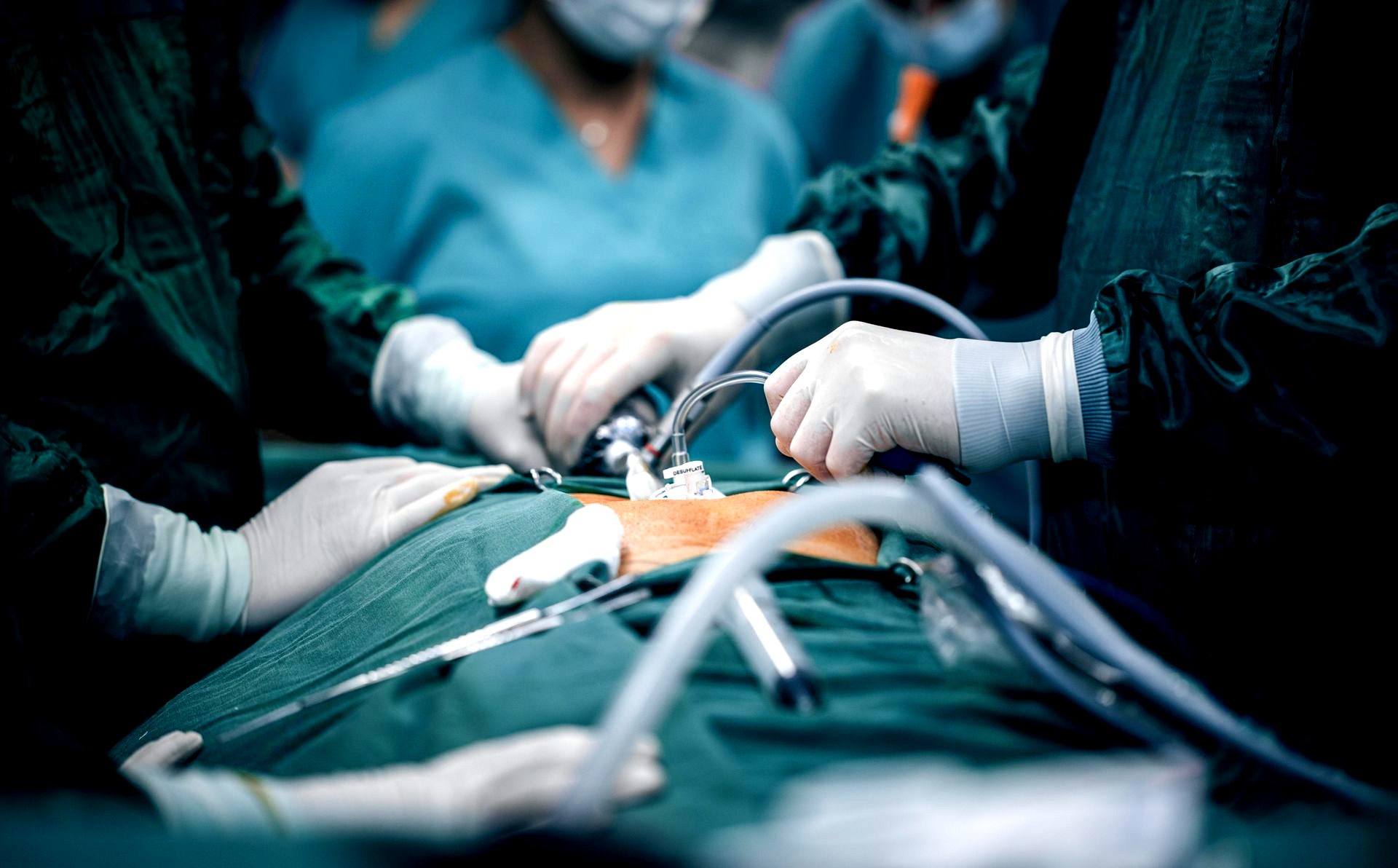 We are a modern veterinary hospital serving La Verne, Claremont, San Dimas, and Glendora, offering same-day urgent and emergency care, comprehensive dog and cat medicine, advanced diagnostics and imaging, minimally invasive procedures including endoscopy, laparoscopy, and non-surgical foreign body removal, dental cleanings, cold laser therapy, stem cell therapy, and compassionate, high-quality veterinary care under one roof.