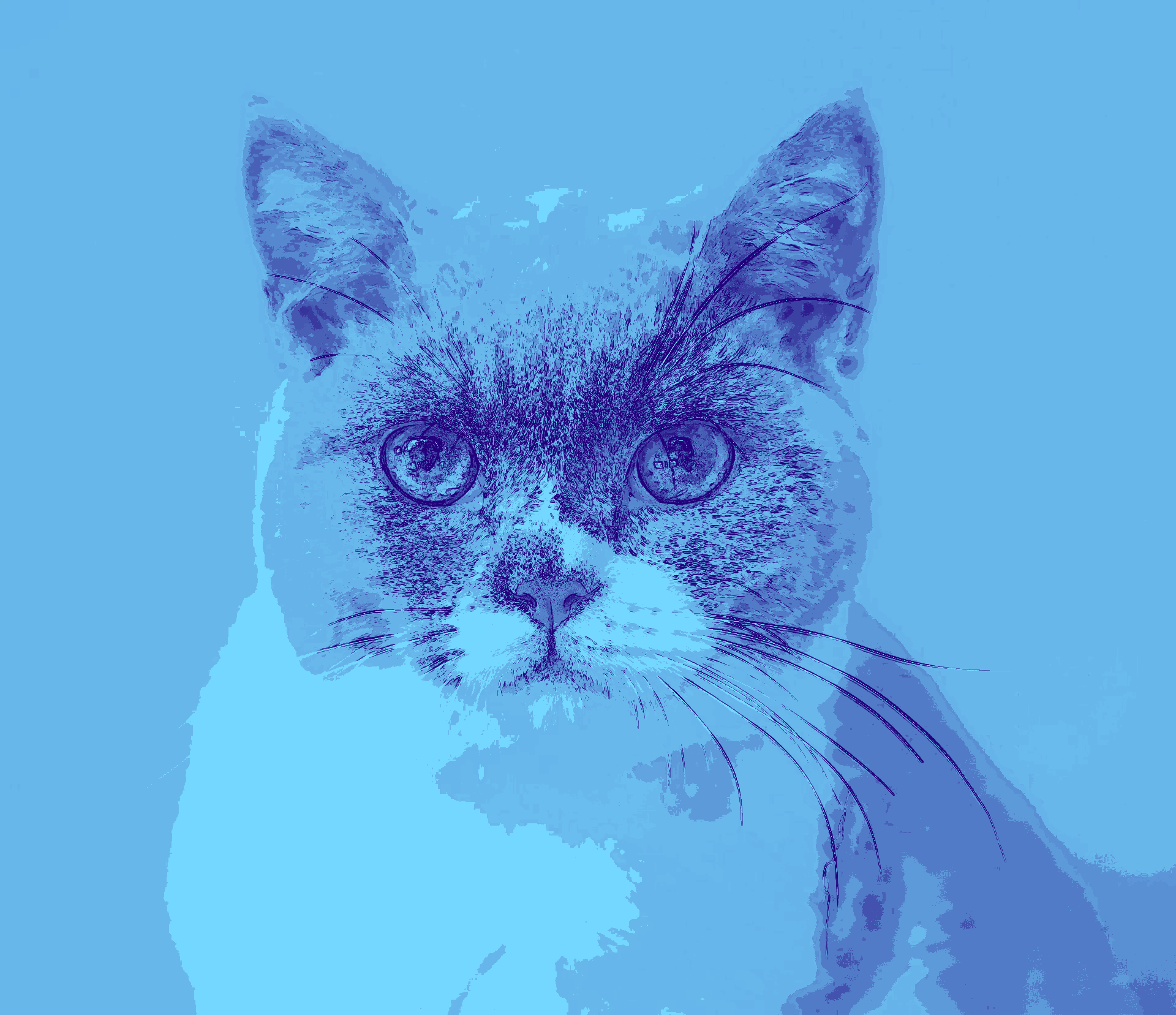 We offer same-day urgent and emergency care, comprehensive dog and cat medicine, advanced diagnostics and imaging, minimally invasive procedures including endoscopy, laparoscopy, and non-surgical foreign body removal, dental cleanings, cold laser therapy, stem cell therapy, and compassionate, high-quality veterinary care under one roof.