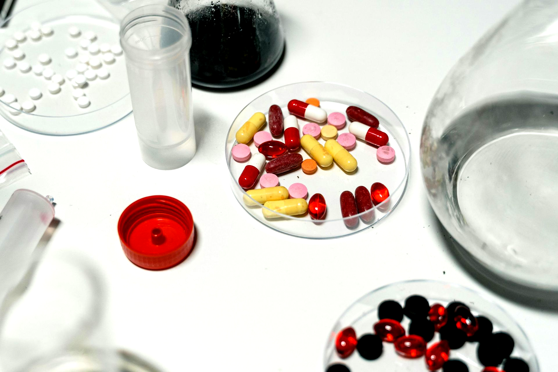 We offer same-day urgent and emergency care, comprehensive dog and cat medicine, advanced diagnostics and imaging, minimally invasive procedures including endoscopy, laparoscopy, and non-surgical foreign body removal, dental cleanings, cold laser therapy, stem cell therapy, and compassionate, high-quality veterinary care under one roof.