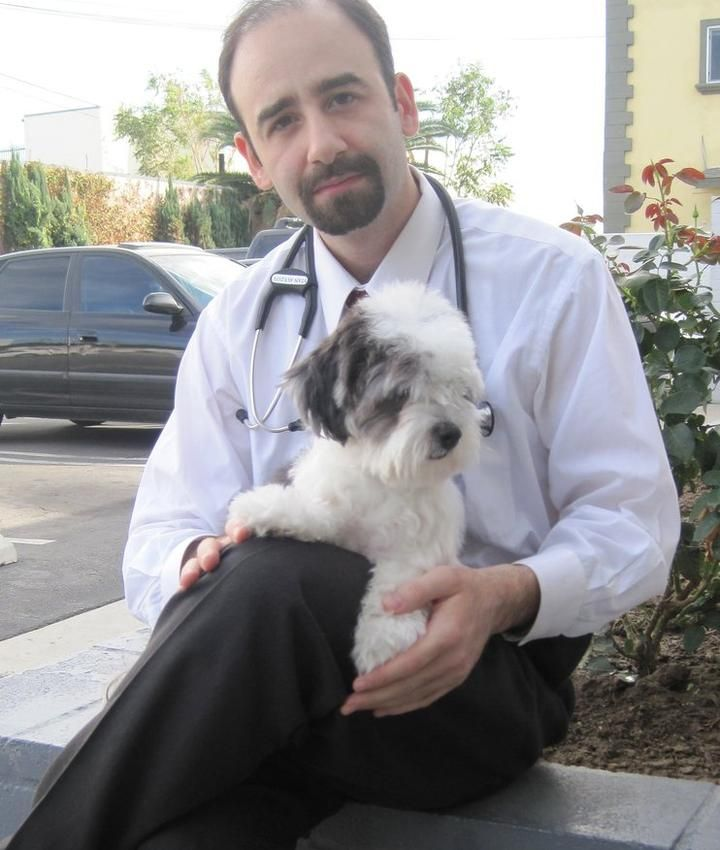 Veterinarian with stethoscope, holding small black and white dog on his lap outdoors.