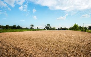 An empty dirt field with trees in the background and a blue sky.