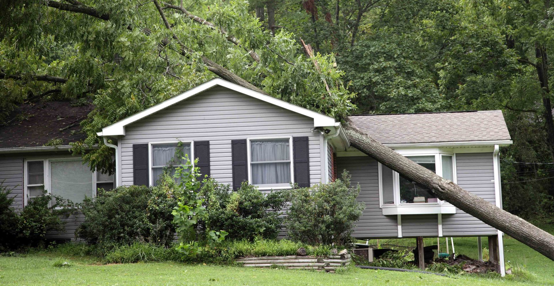 Windstorm in Wisconsin causing tree to fall on a house damaging the roof and siding