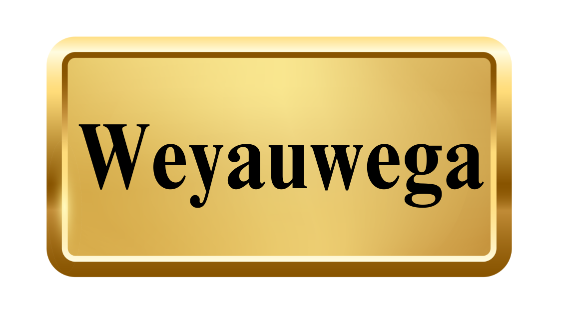 Badgerland Restoration & Remodeling Weyauwega Google profile review link button image