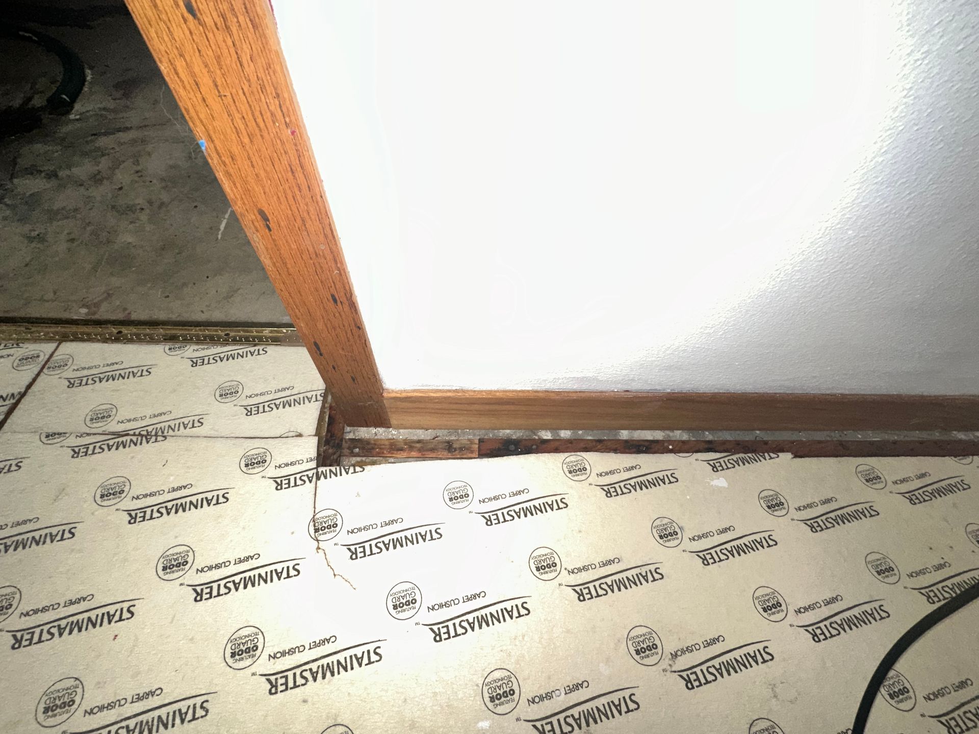 Sewage Septic Back Up, Water Loss Claim, Water Removal and Dry Out specialist in New London WI