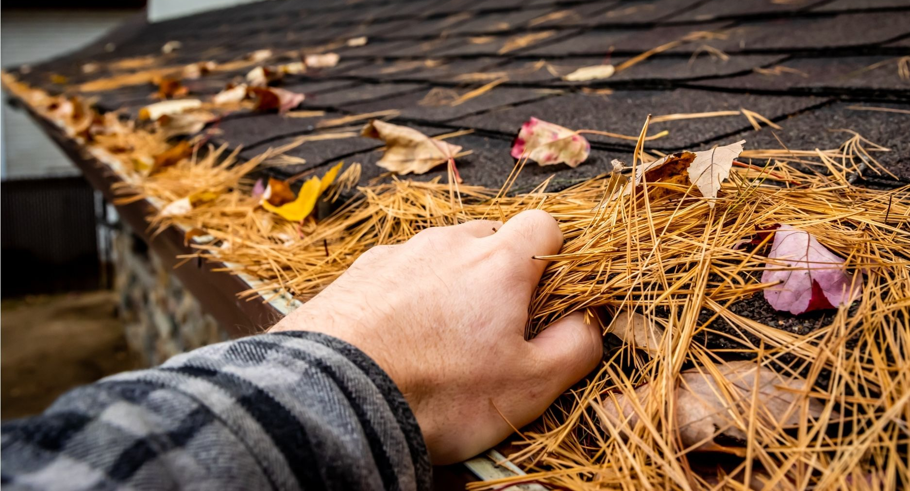 Person cleaning leaves and pine needles from house gutters