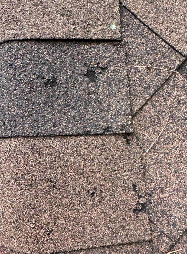 Residential roof replacement New London WI hailstorm damage to shingled roof