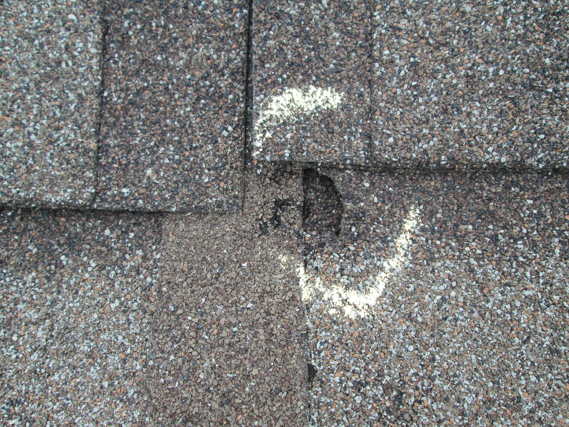 Hail damaged shingled roof Plover WI
