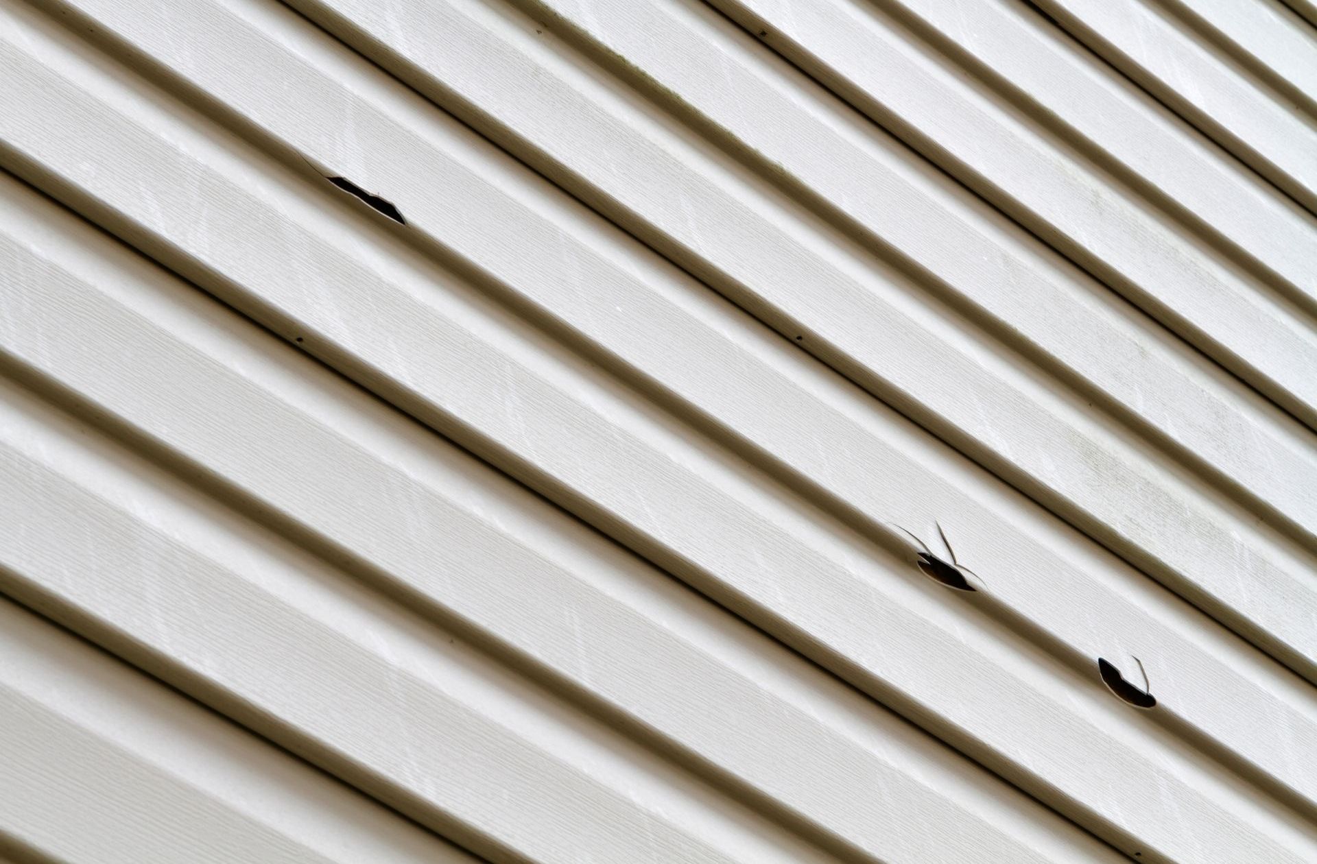 Hail marks on shingled roof in Waupaca WI