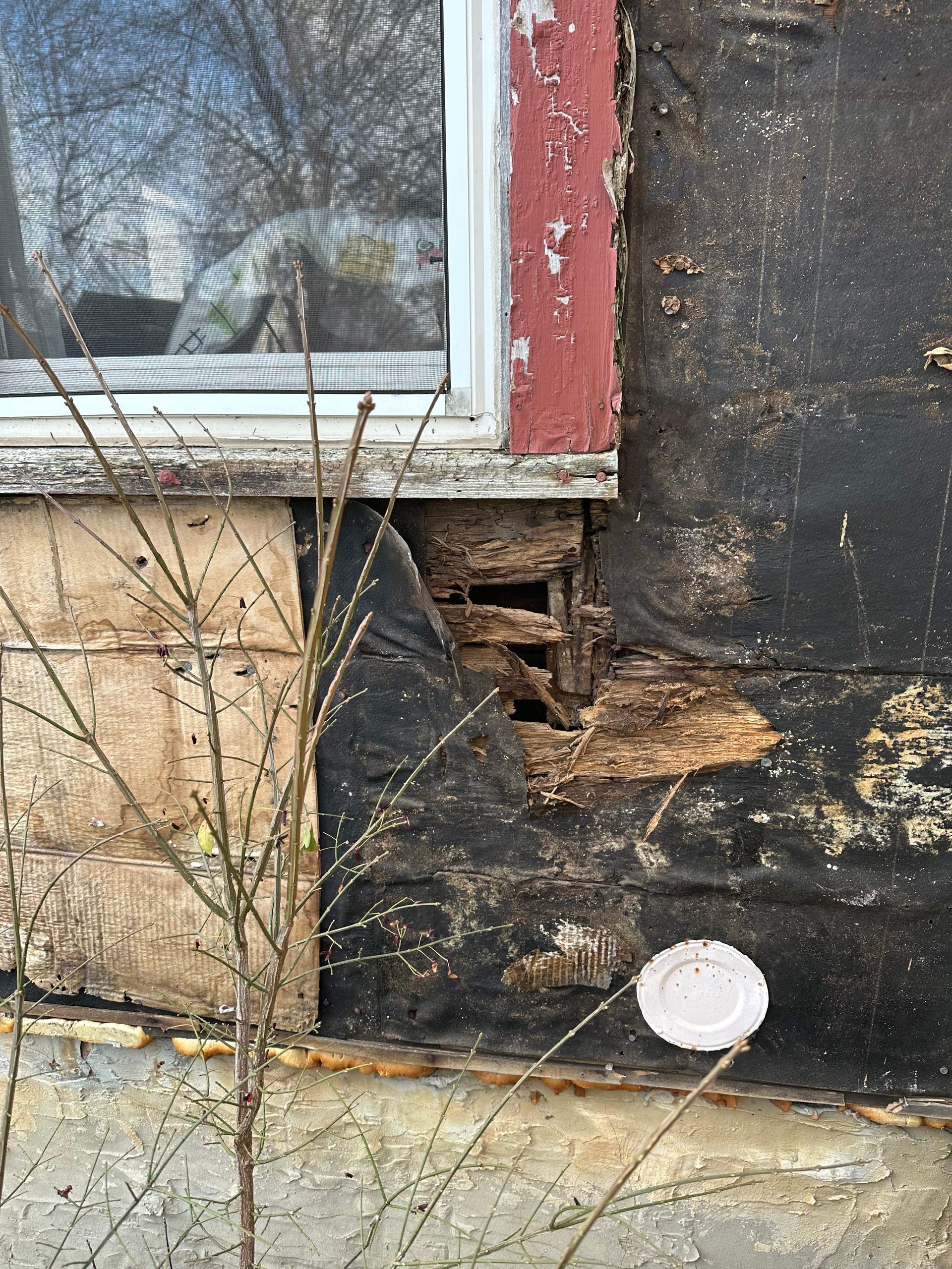 CBDG Repair in Wisconsin Rapids 2024 Community Block Development Grant Asbestos Siding Replacement
