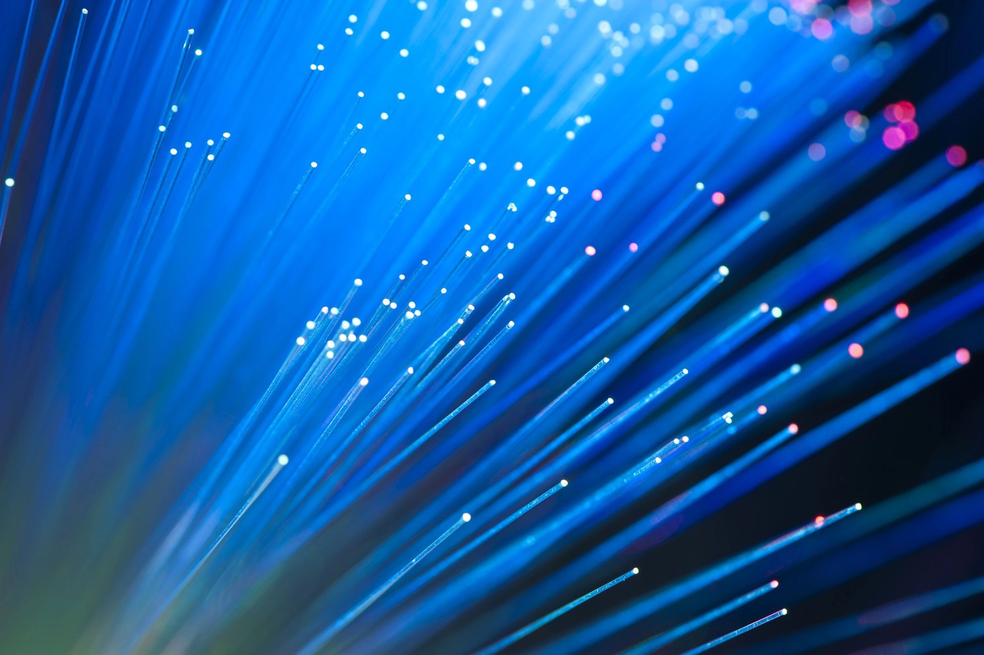 Cavi in fibra ottica illuminati in blu e bianco che emettono luce.