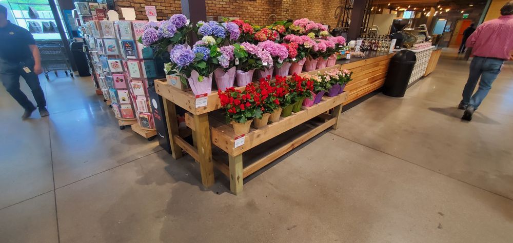 A flower display in a store with colorful potted plants on wooden shelves. Two people are visible nearby.