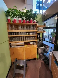 Wooden cabinet with glassware, topped with potted plants. A step stool sits in front of it.