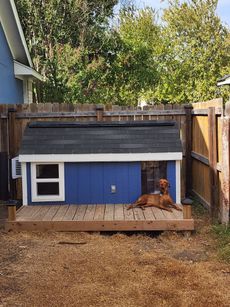 A brown dog relaxing on a wooden deck outside a blue doghouse with a black roof, set against a wooden fence and trees.