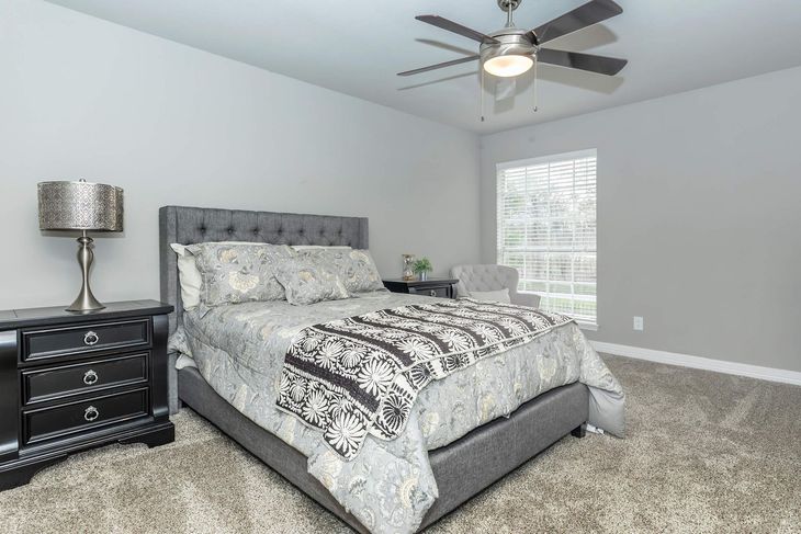 Bedroom with gray walls, bed, and nightstand with lamp. Window and ceiling fan visible.