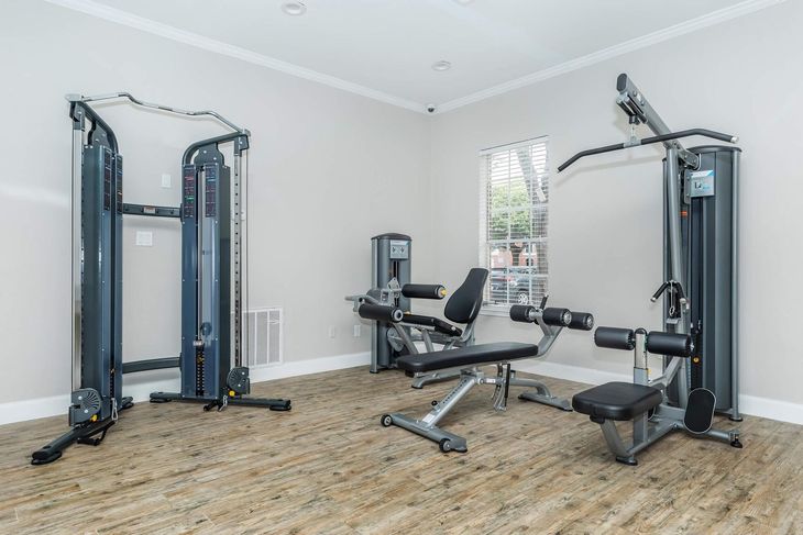 Gym with weight machines on carpeted floor, neutral walls.