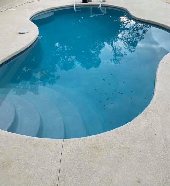 Citywide Pool Service, Inc. 2