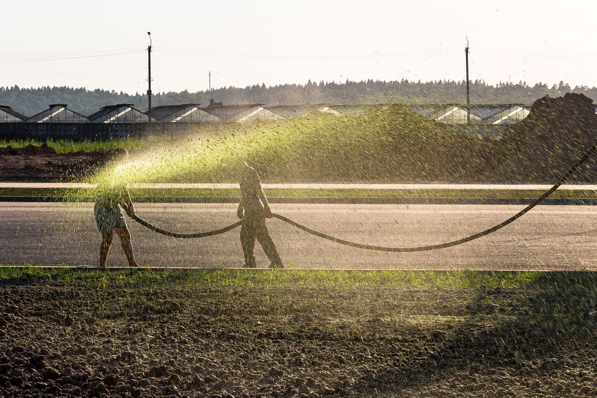 Hydroseeding a liquid lawn by spraying the mixture from a hose