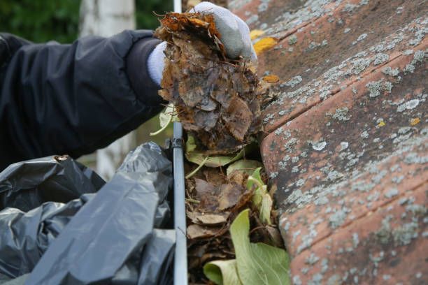 A person is cleaning a gutter of leaves from a roof.