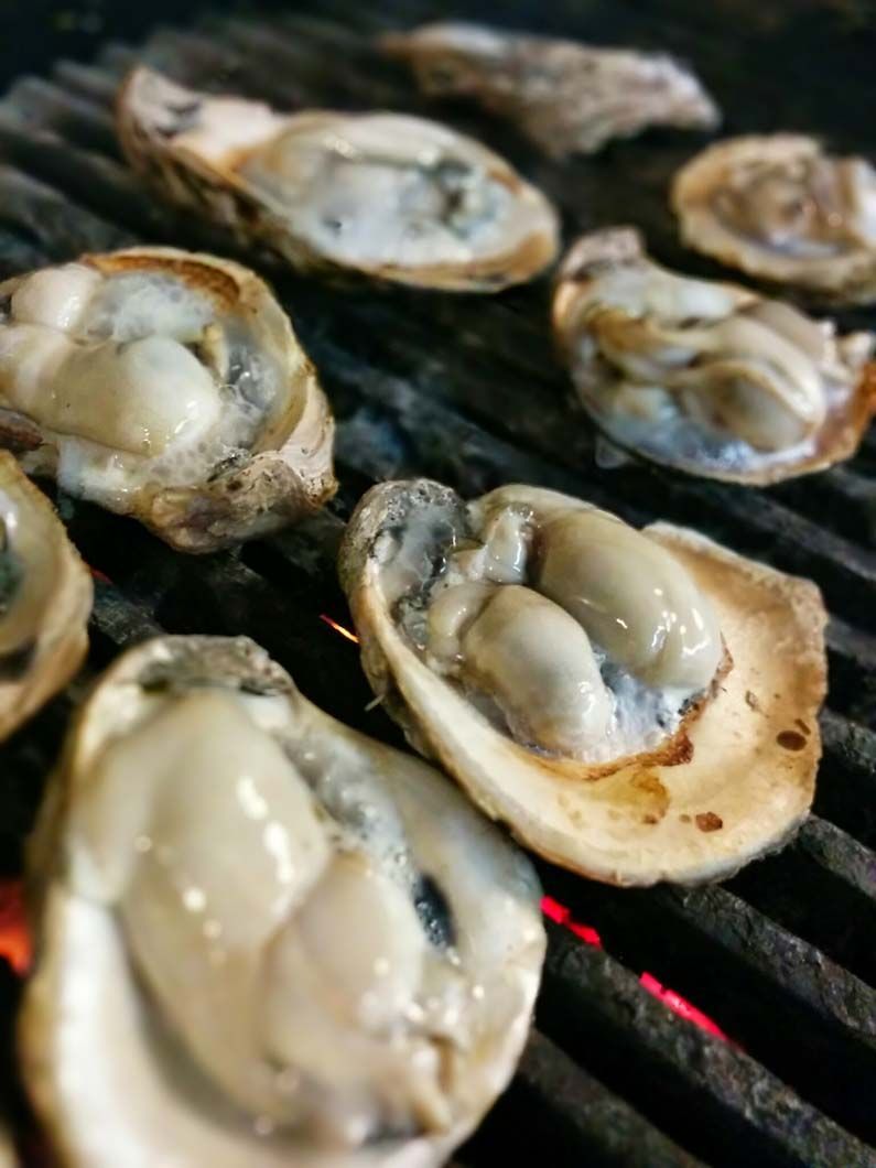 Grilled oysters on a barbecue grill, shells open, with visible oyster meat.