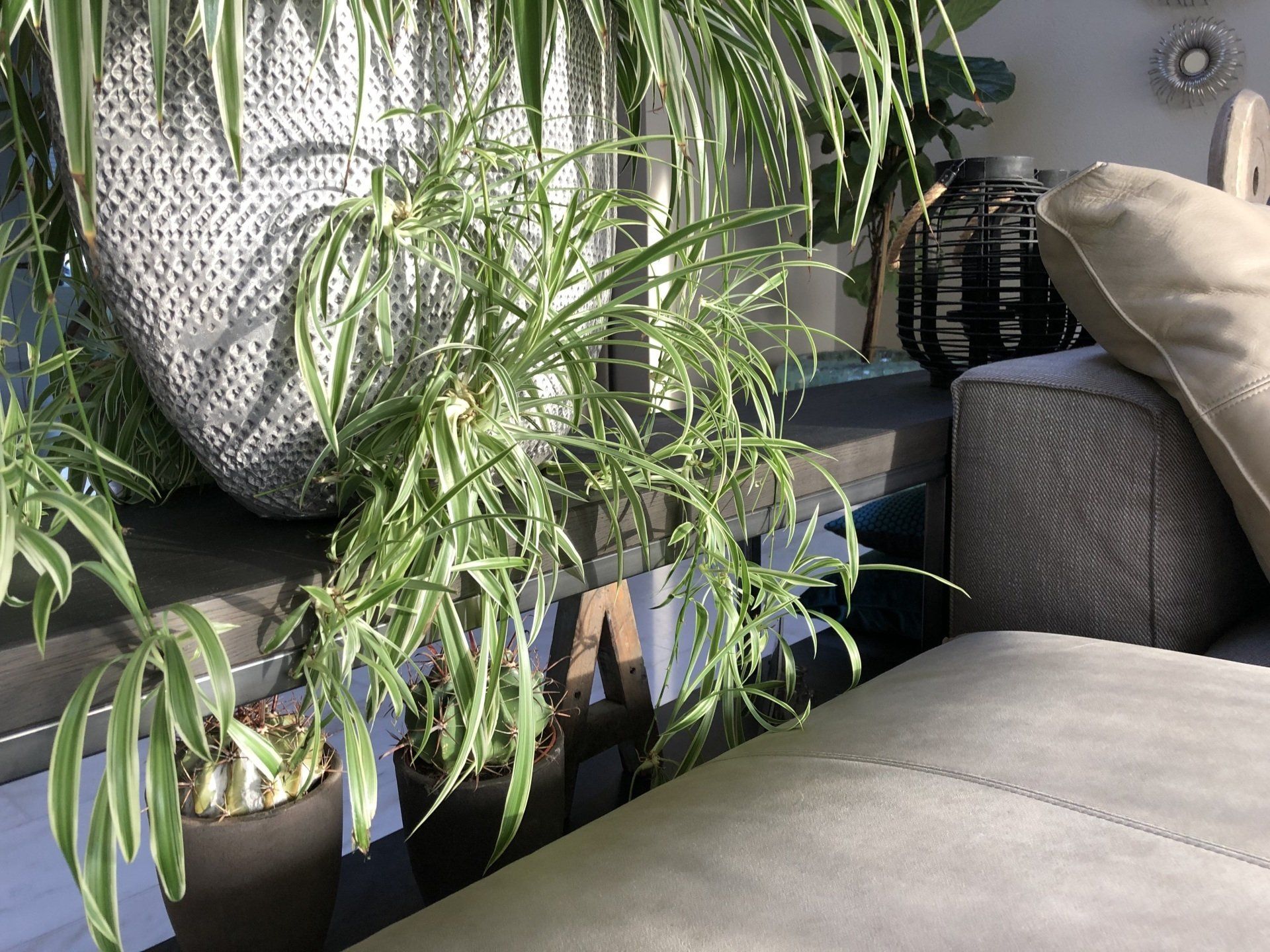 Interieurinrichting - Hoeksche Waard, Zuid-Holland