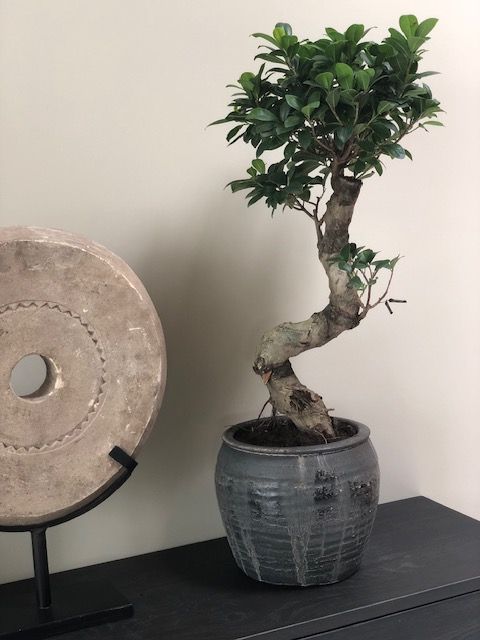 Verkoopstyling en interieurstyling - particulieren en zakelijke sector