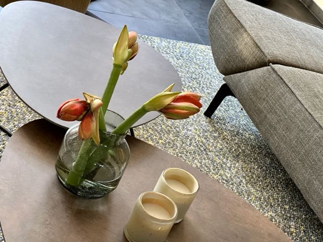 Interieuradvies Oud-Beijerland, Dordrecht, Albrandswaard, Rhoon