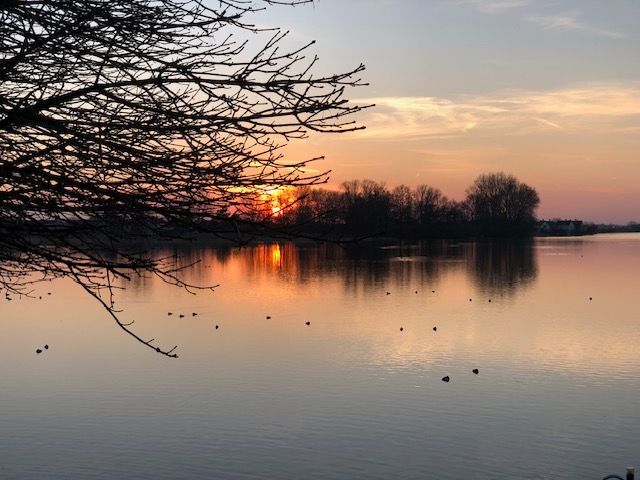 Landelijk wonen Binnenmaas Hoeksche Waard