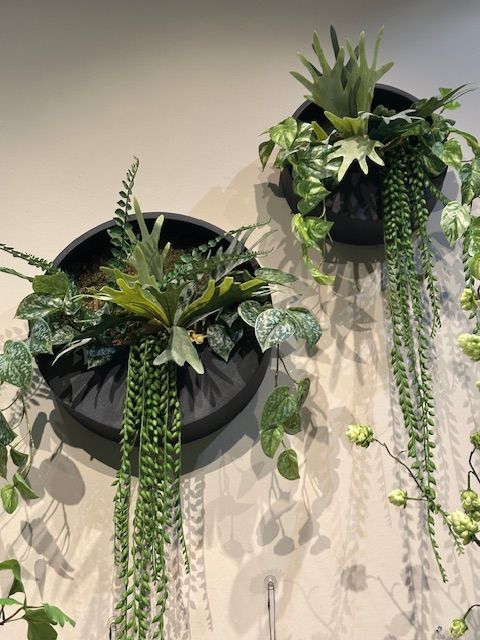 Planten potten en vazen