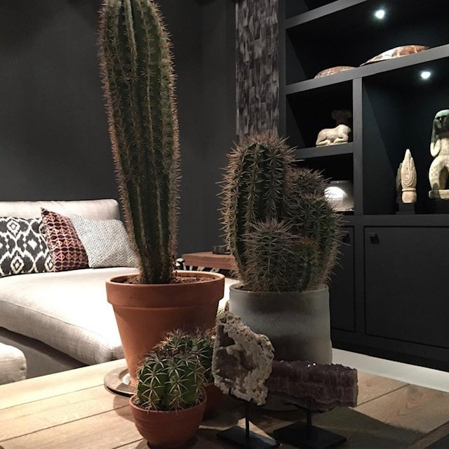 Interieurontwerp en kleuradvies - Barendrecht, Mijnsheerenland, Numansdorp, 