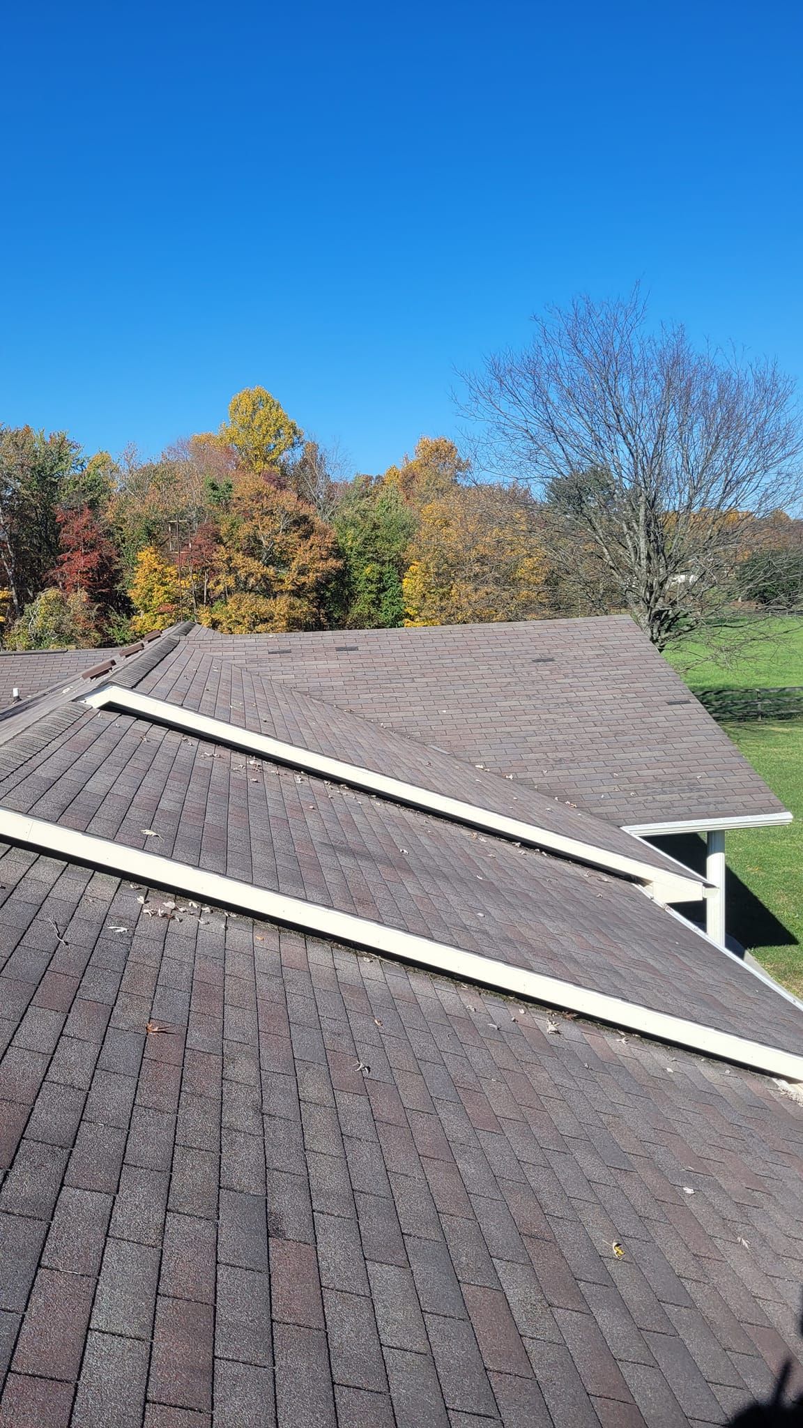 Brown shingled roof with white trim, green grass, and trees with colorful fall foliage against a clear blue sky.