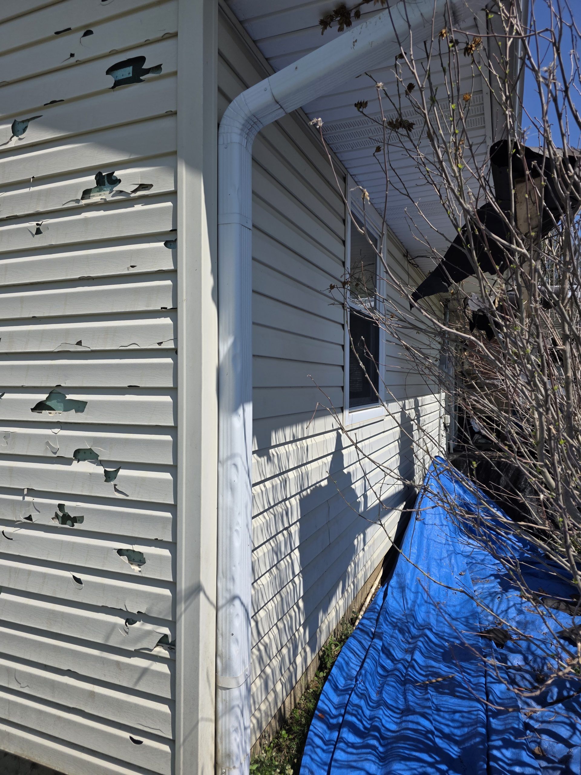 Damaged siding on a building with a white gutter, blue tarp, and bare tree branches.