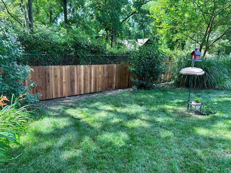 A backyard with a wooden fence, chain-link fence, and bird feeders.