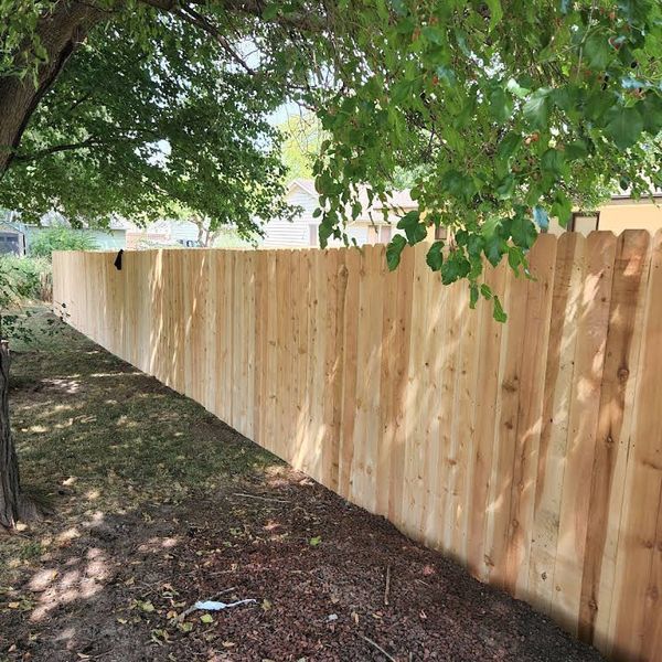 Wooden fence stretches along a grassy yard under a tree with green leaves.