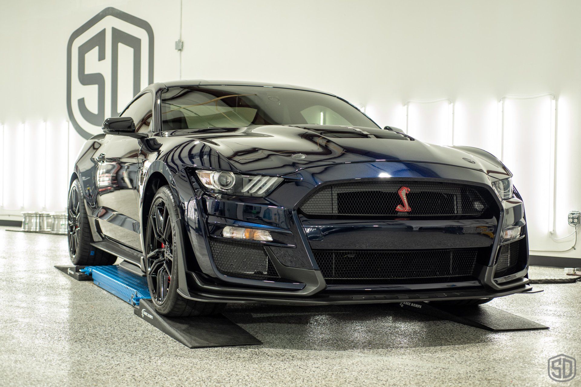 Ford Mustang GT500 level 3 paint correction, xpel ppf, stek dynoflex windshield protection film, modesta BC05 advanced water repellent glass coating, BC06 wheel and caliper protective coating Orlando Florida