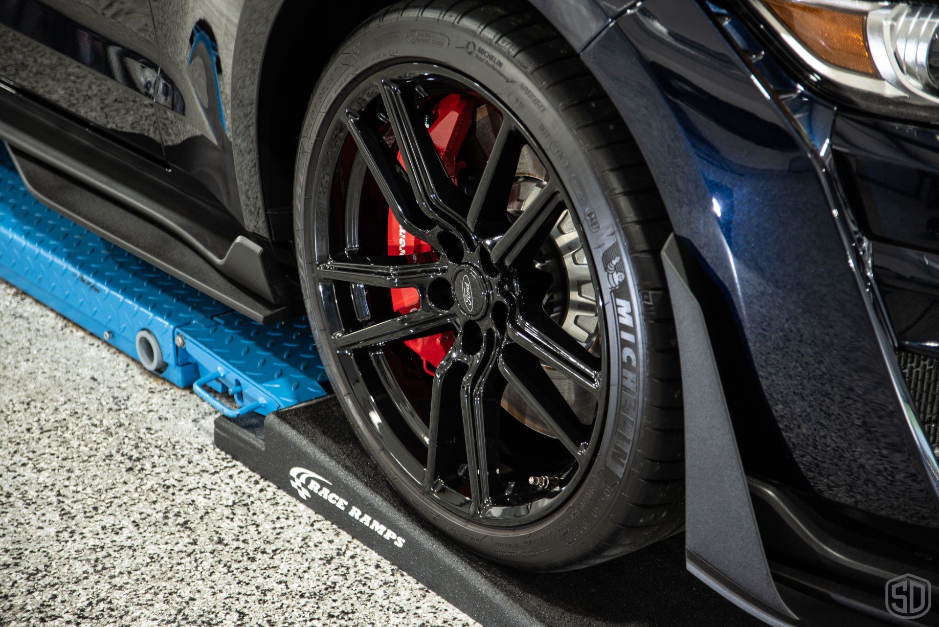 Ford Mustang GT500 level 3 paint correction, xpel ppf, stek dynoflex windshield protection film, modesta BC05 advanced water repellent glass coating, BC06 wheel and caliper protective coating Orlando FL