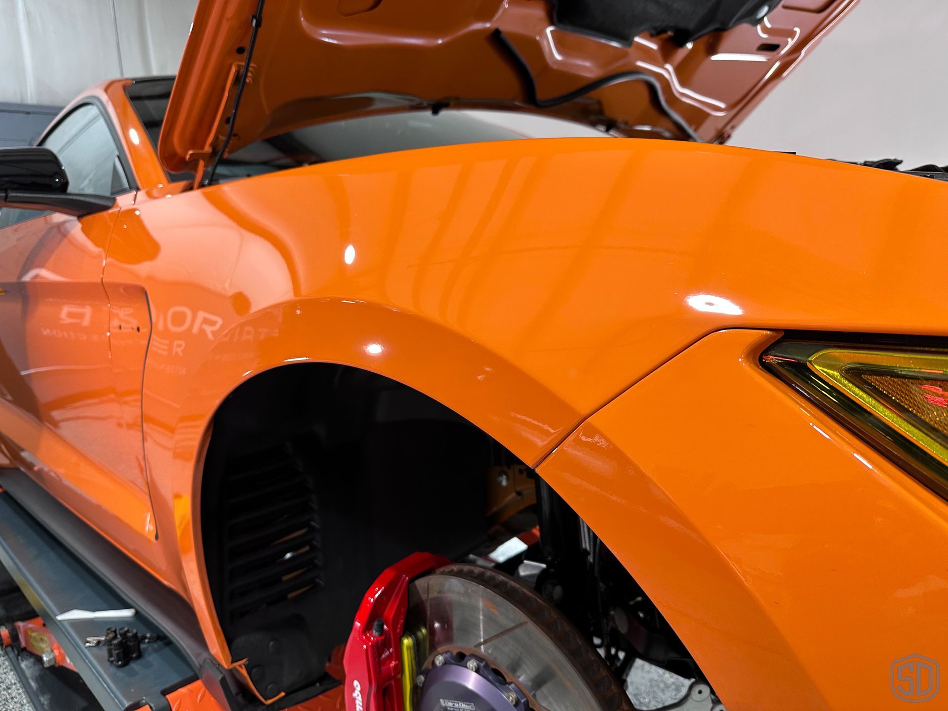 2020 Mustang Shelby GT350R Annual Modesta Coating Maintenance Detail and Fender PPF front end close up Orlando USA