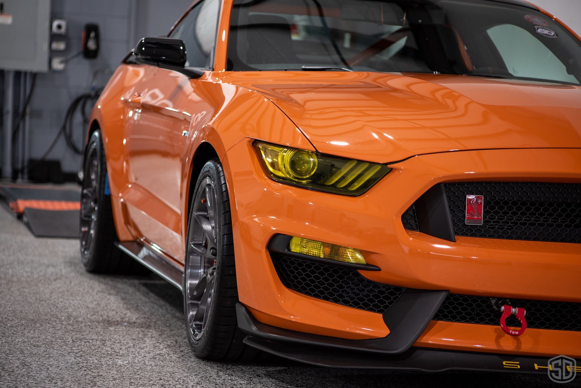 2020 Mustang Shelby GT350R Annual Modesta Coating Maintenance Detail and Fender PPF Florida USA