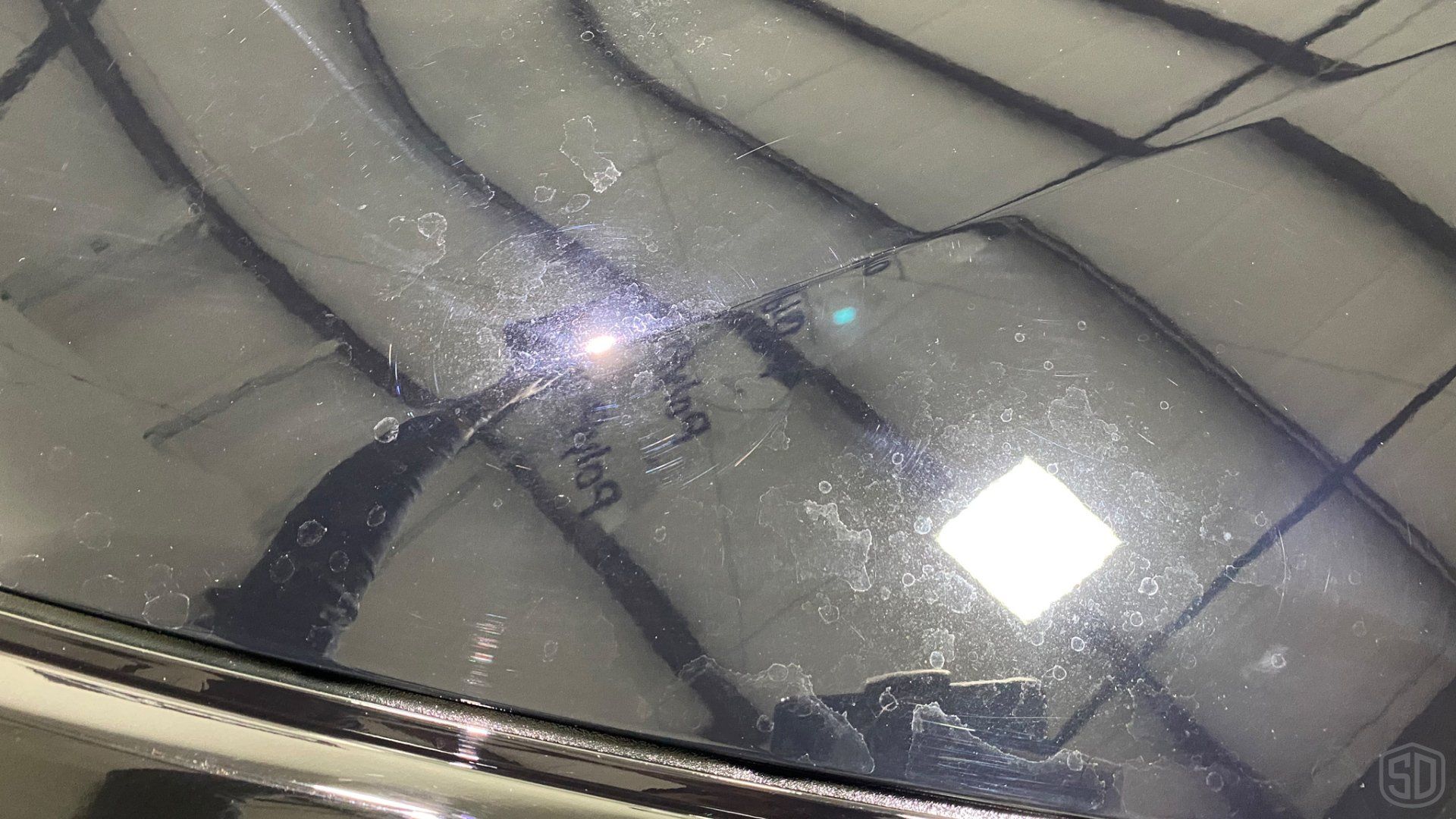 2022 Corvette C8 Detailing, Paint Correction, Modesta Primer, Modesta BC-08 Ceramic Coating before shot Florida USA